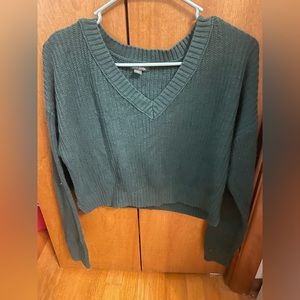 Wild Fable Green sweater